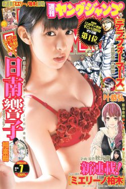 九部检查官